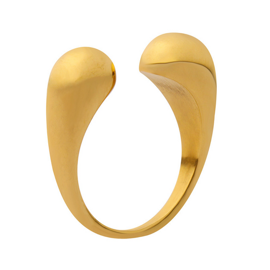 Anillo U